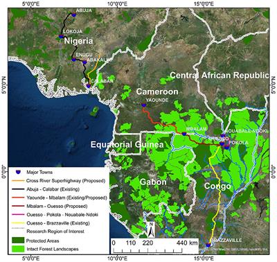Road Expansion and the Fate of Africa's Tropical Forests